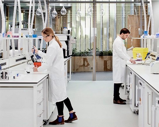 Laboratory Software Provider Sri Lanka. Branch and collecting centers setup showing a network of facilities designed for efficient sample collection, with staff assisting clients and signage indicating various laboratory services offered.